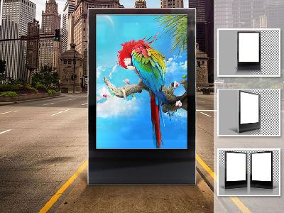 Poster Display Cases